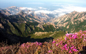 10000000000004b0000002ec6938b181