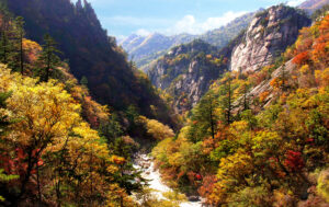 10000000000004b0000002f28f2dc3bf