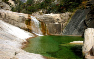 10000000000004b0000002f66a78a38c