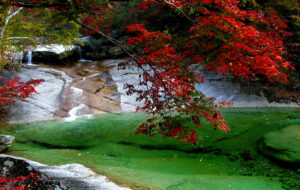 10000000000004b0000002f9993c78fc