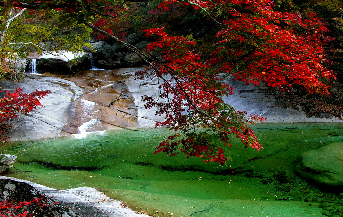 10000000000004b0000002f9993c78fc