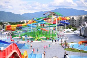 1000000000000dac0000091db01c4b25