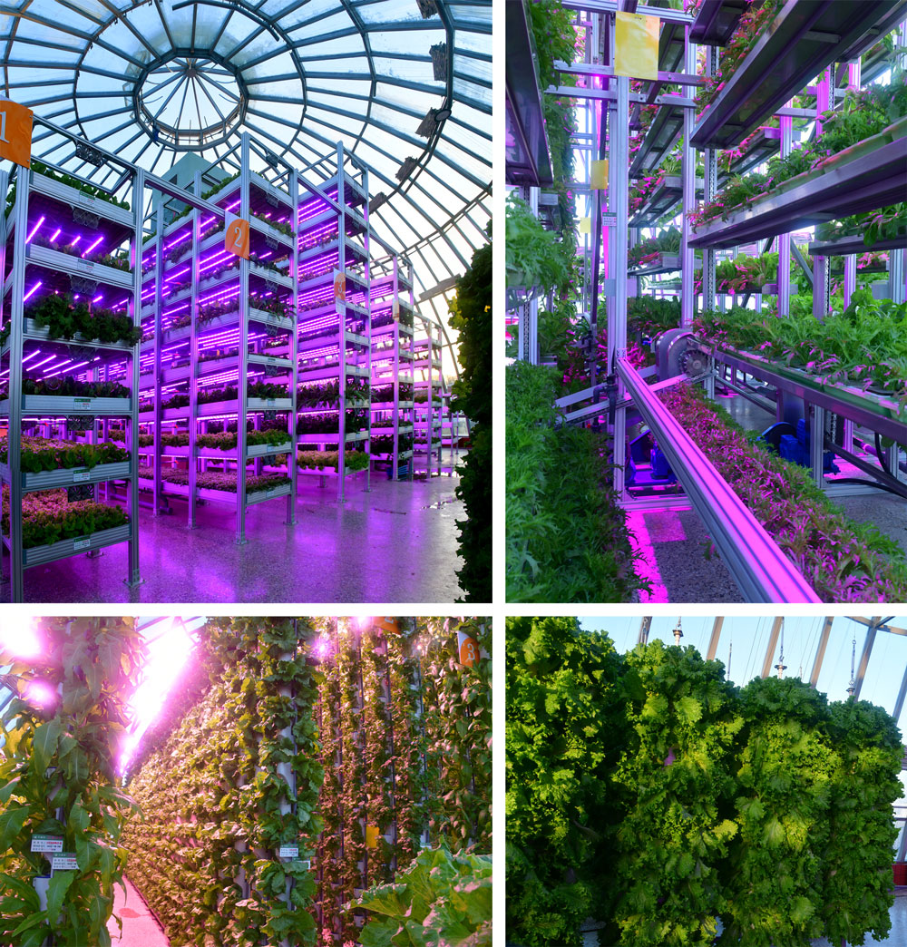 A Sea of Greenhouses 10000000000003e80000041475bb9867