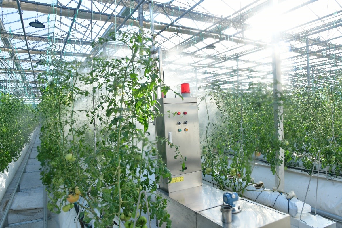 A Sea of Greenhouses 10000000000004a4000003199c8381fd