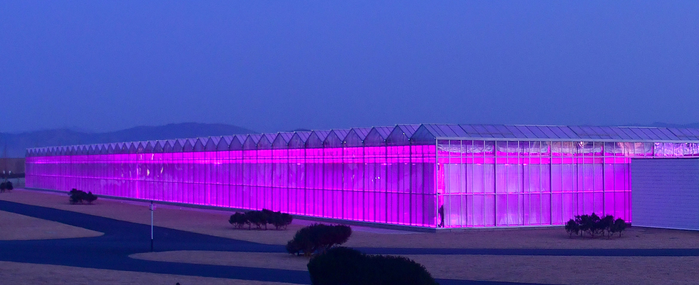 A Sea of Greenhouses 1000000000000924000003bb21bd5410