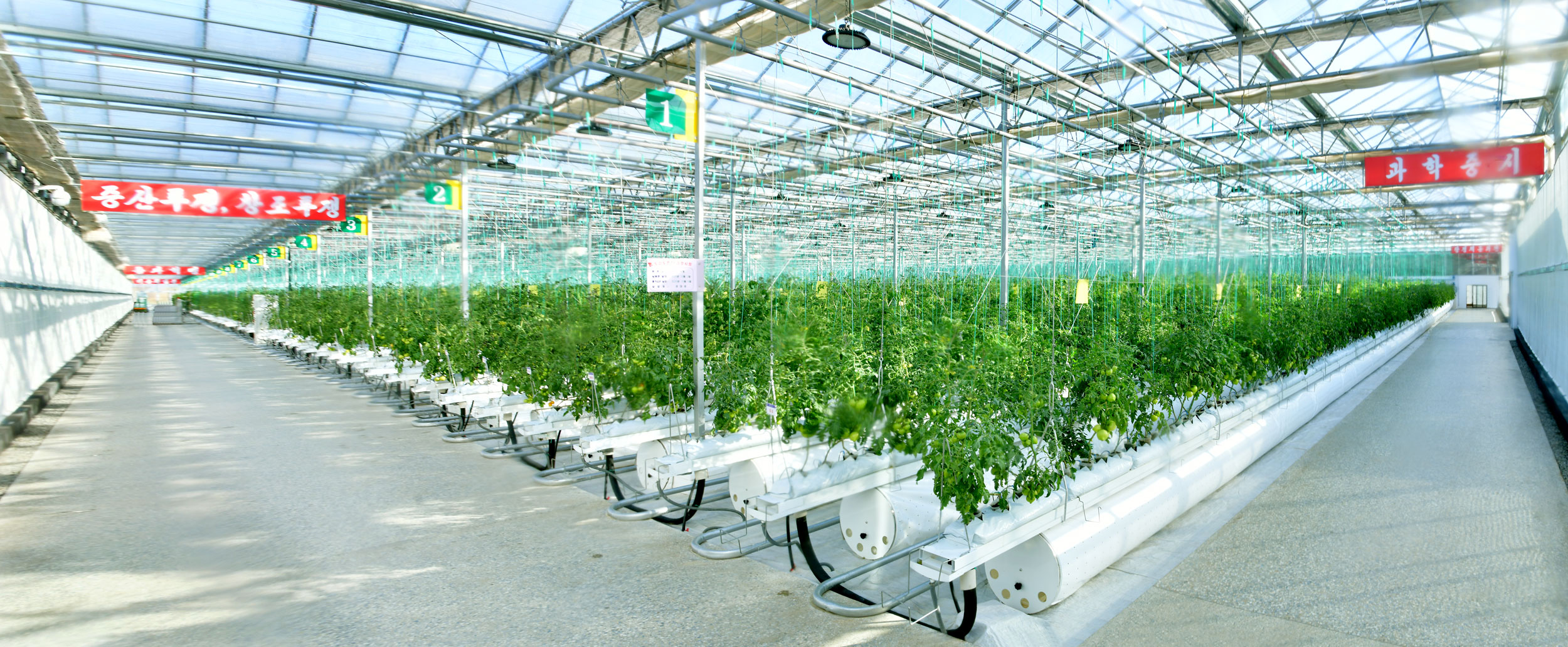 A Sea of Greenhouses 10000000000009c400000408189d7583