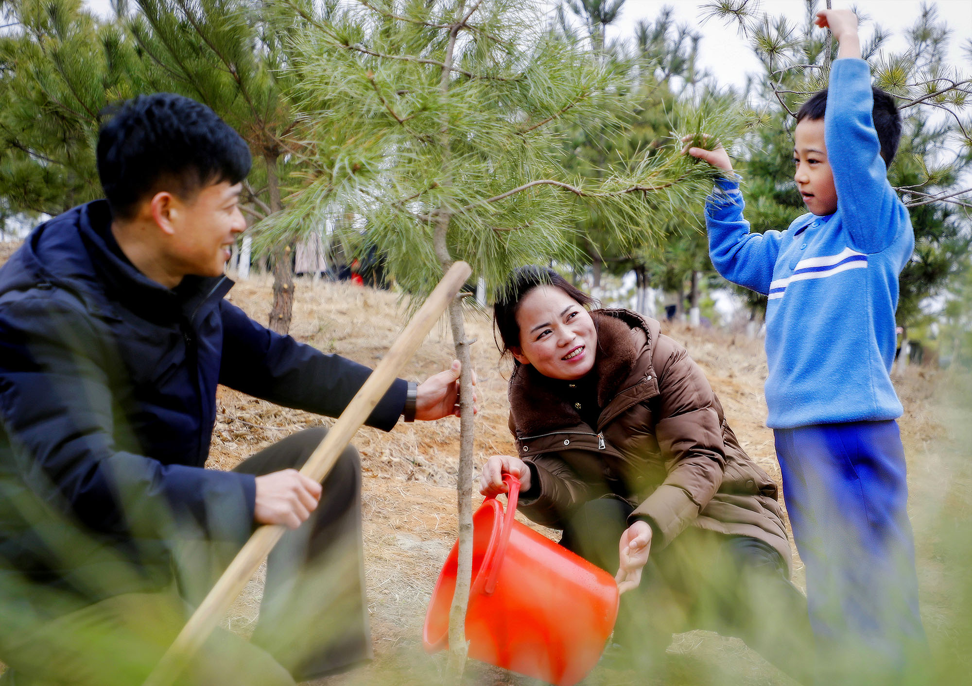 식수절을 맞으며 각지에서 나무심기 진행 화성산에서 