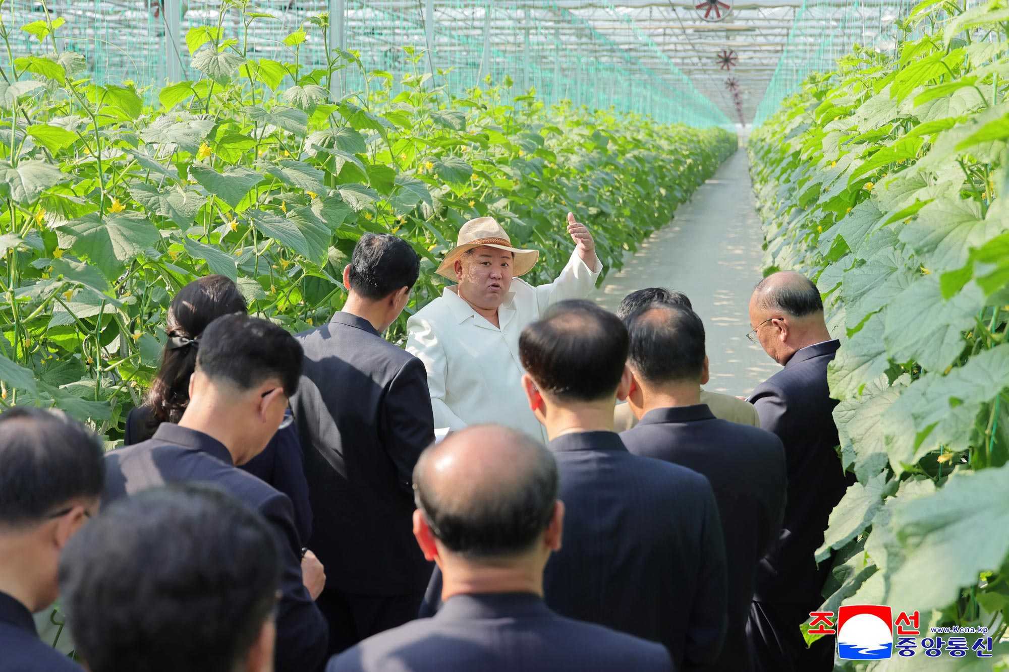 Respected Comrade Kim Jong Un Inspects Sinuiju Combined Greenhouse Farm 1