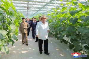 Respected Comrade Kim Jong Un Inspects Sinuiju Combined Greenhouse Farm 2 002