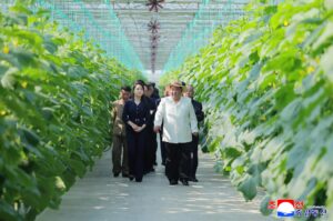 Respected Comrade Kim Jong Un Inspects Sinuiju Combined Greenhouse Farm 2 003