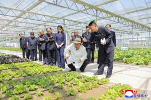 Respected Comrade Kim Jong Un Inspects Sinuiju Combined Greenhouse Farm 2 009