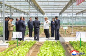 Respected Comrade Kim Jong Un Inspects Sinuiju Combined Greenhouse Farm 2 010