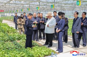 Respected Comrade Kim Jong Un Inspects Sinuiju Combined Greenhouse Farm 2 011