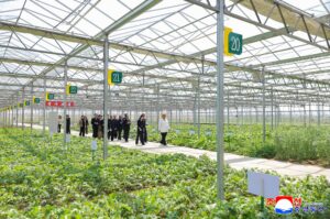 Respected Comrade Kim Jong Un Inspects Sinuiju Combined Greenhouse Farm 2 012