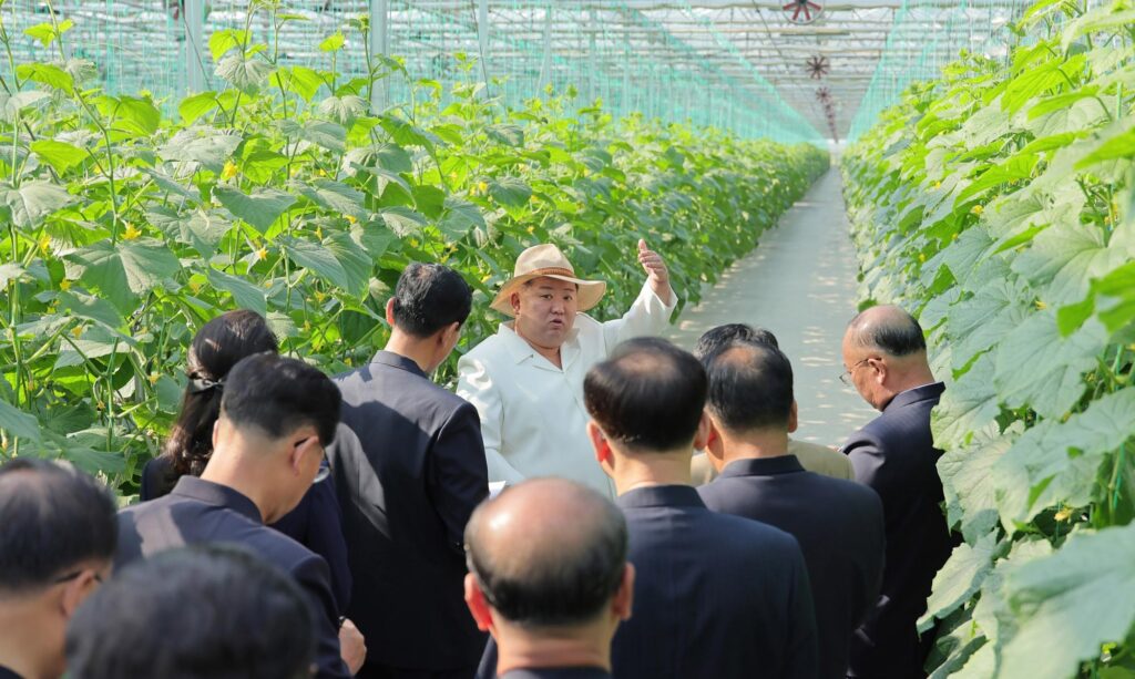 Respected Comrade Kim Jong Un Inspects Sinuiju Combined Greenhouse Farm 9